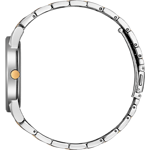 AU1064-85X
